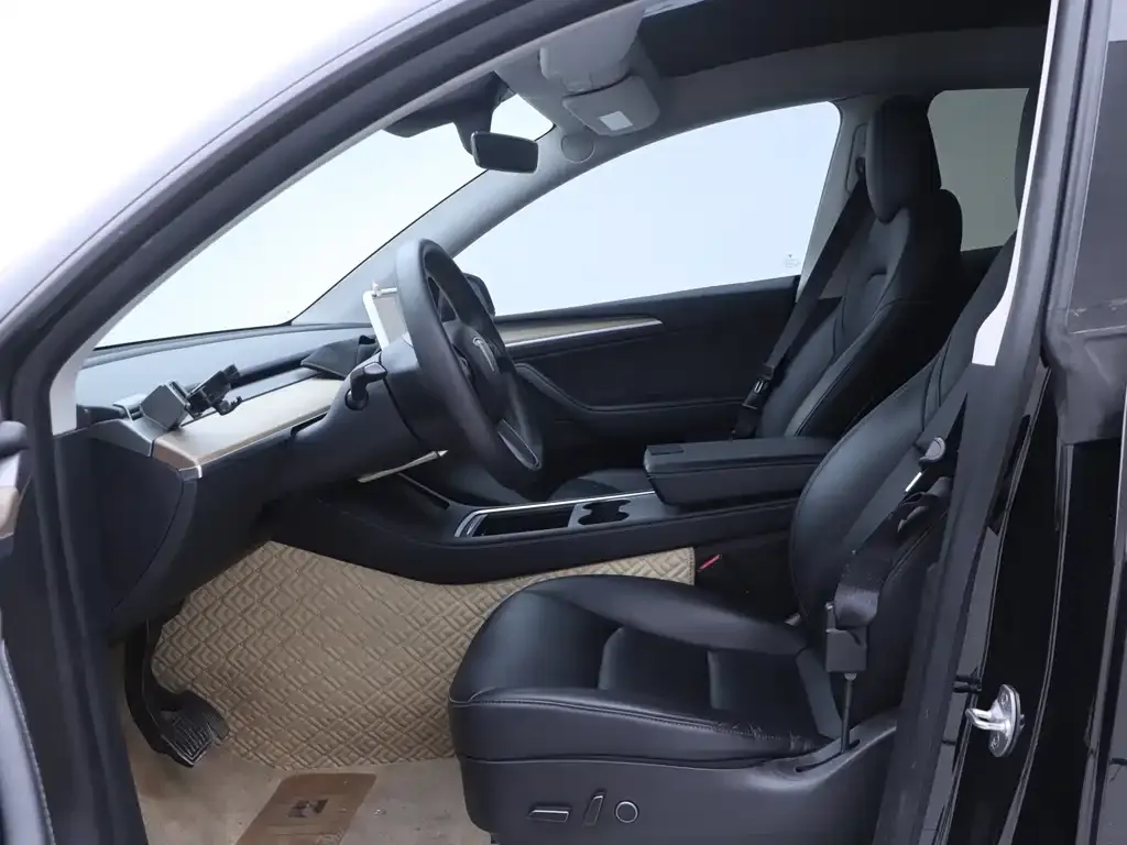 Tesla Model Y 2021 из CN, фото 7