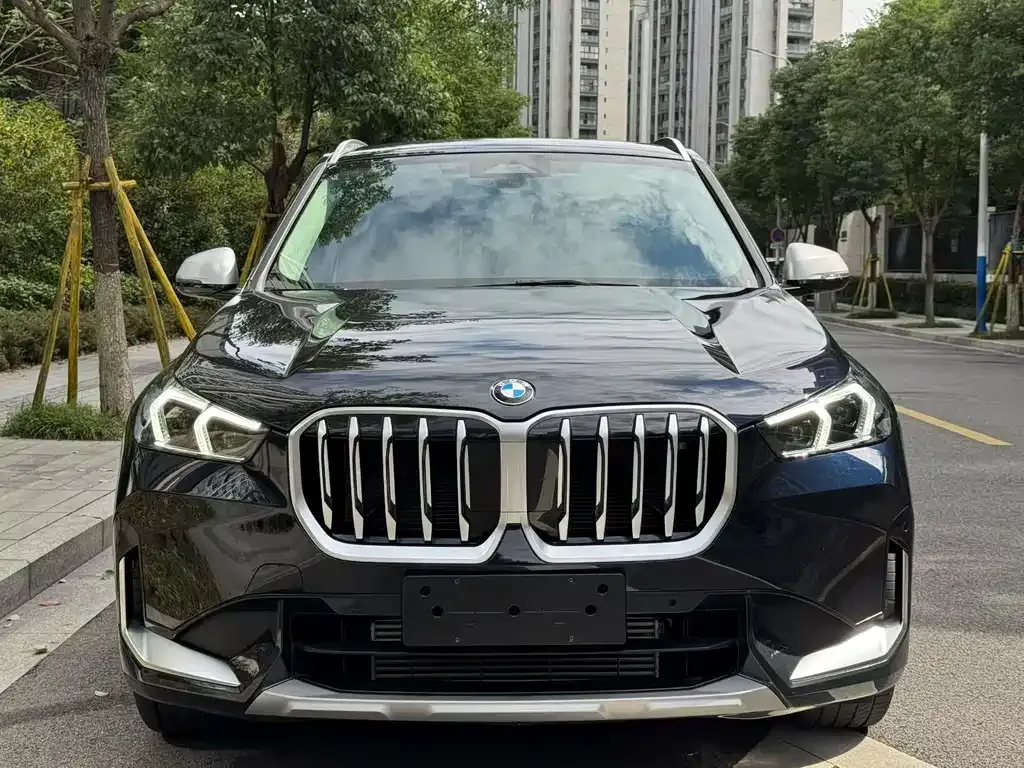 BMW X1 2024 из CN, фото 2