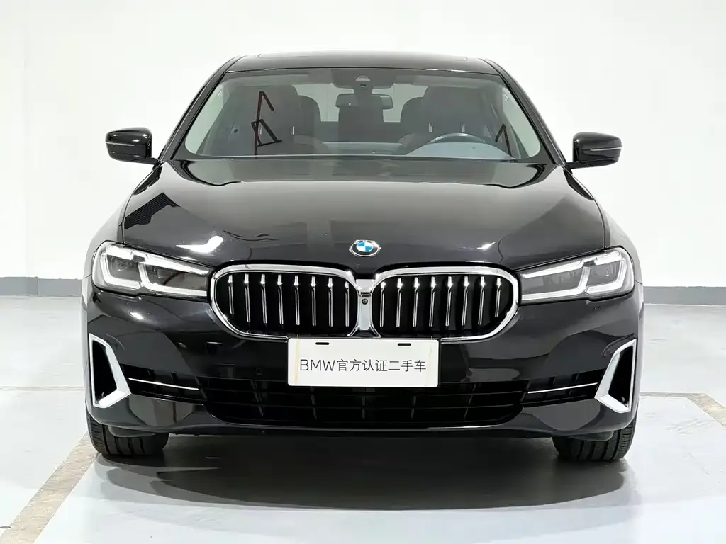 BMW 5 Series 2022 из CN, фото 2