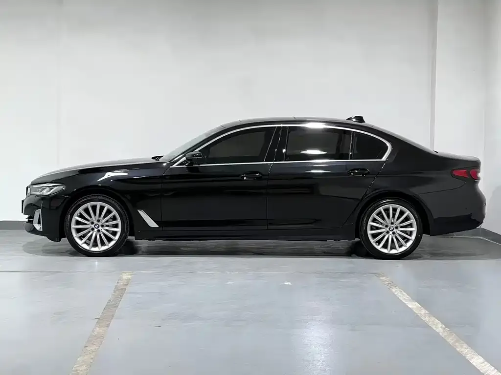 BMW 5 Series 2022 из CN, фото 4