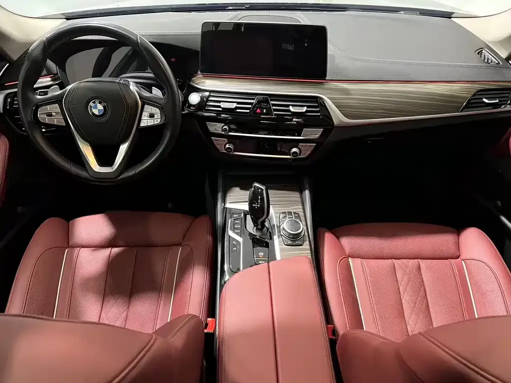BMW 5 Series 2022 из CN, фото 5