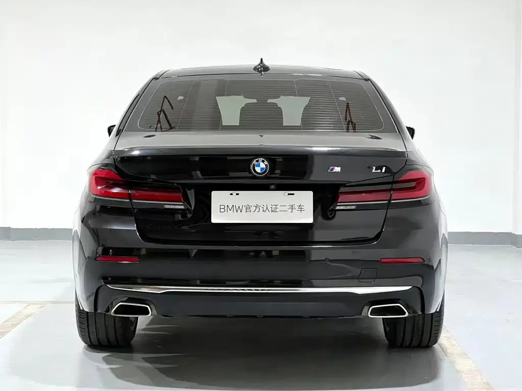 BMW 5 Series 2022 из CN, фото 7