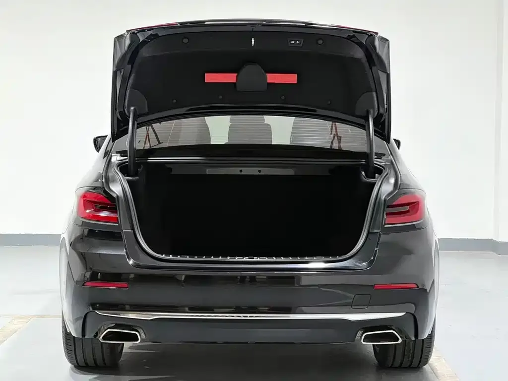 BMW 5 Series 2022 из CN, фото 8