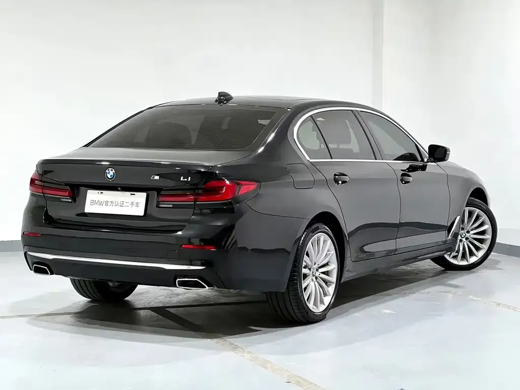 BMW 5 Series 2022 из CN, фото 9