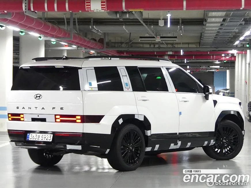 [object Object] Santafe 2025 из KR, фото 3