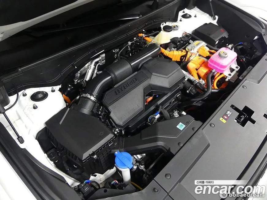 [object Object] Santafe 2025 из KR, фото 5