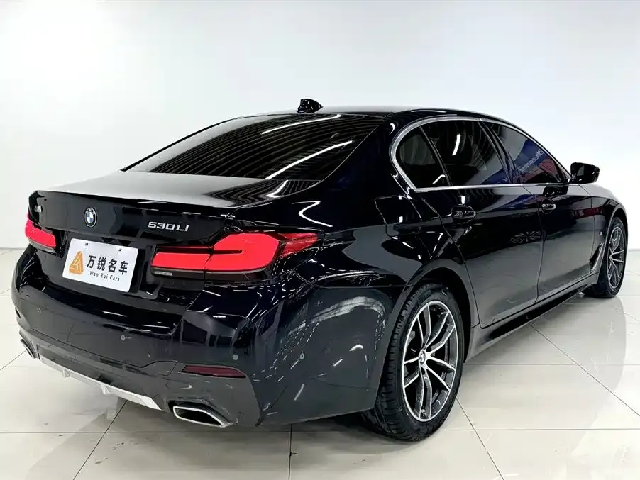 BMW 5 Series 2023 из CN, фото 3