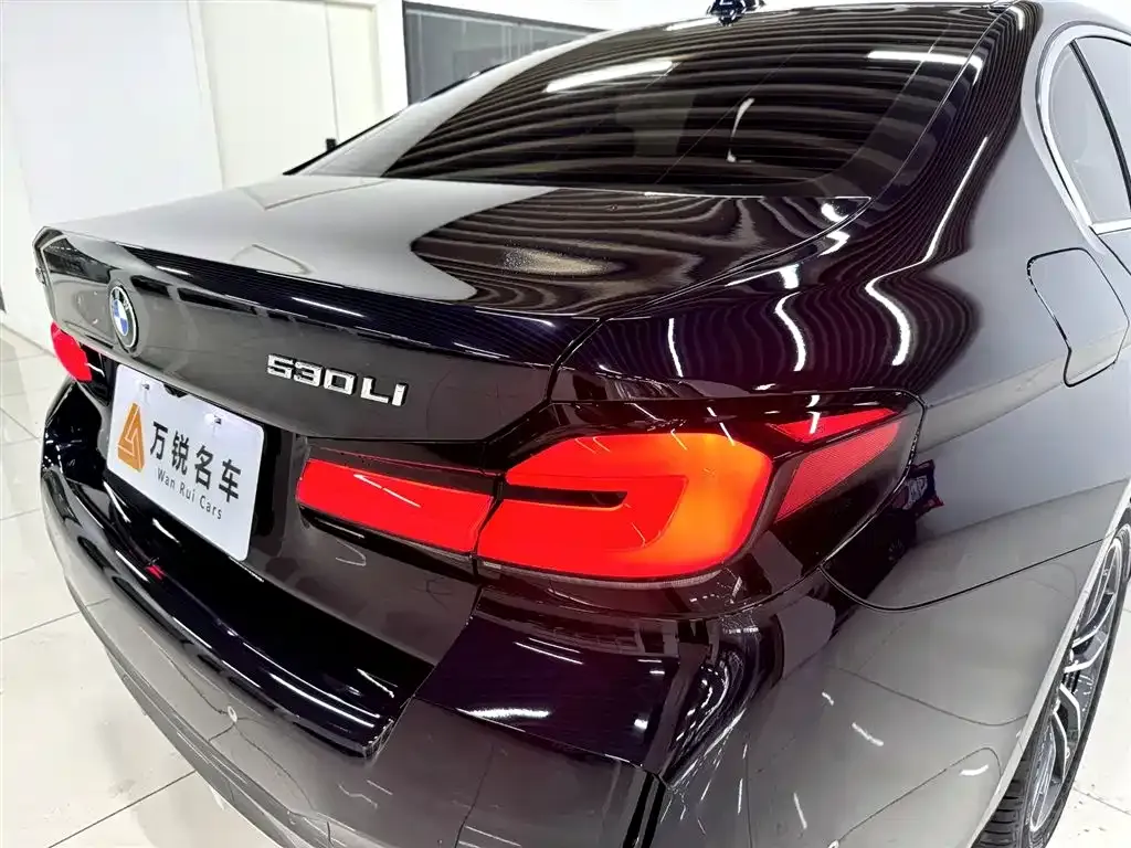 BMW 5 Series 2023 из CN, фото 7