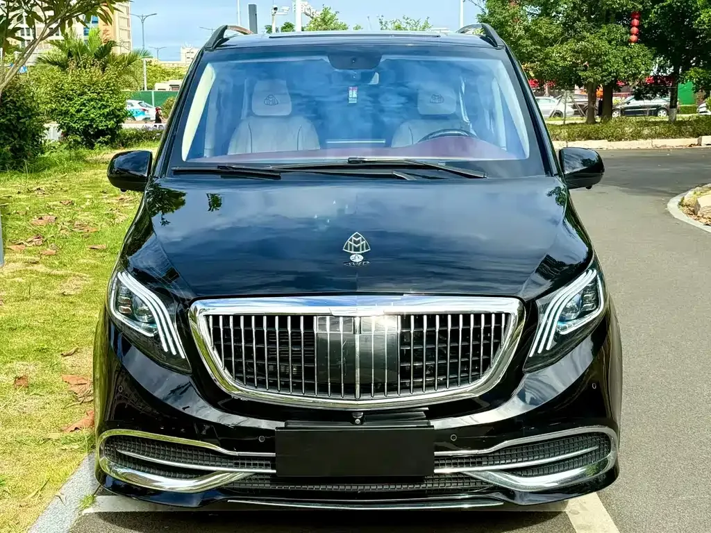 Mercedes-Benz Vito 2021 из CN, фото 2