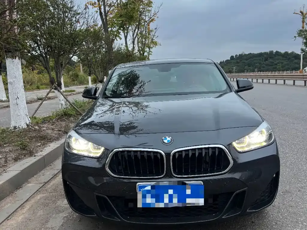 BMW X2 — фото 2