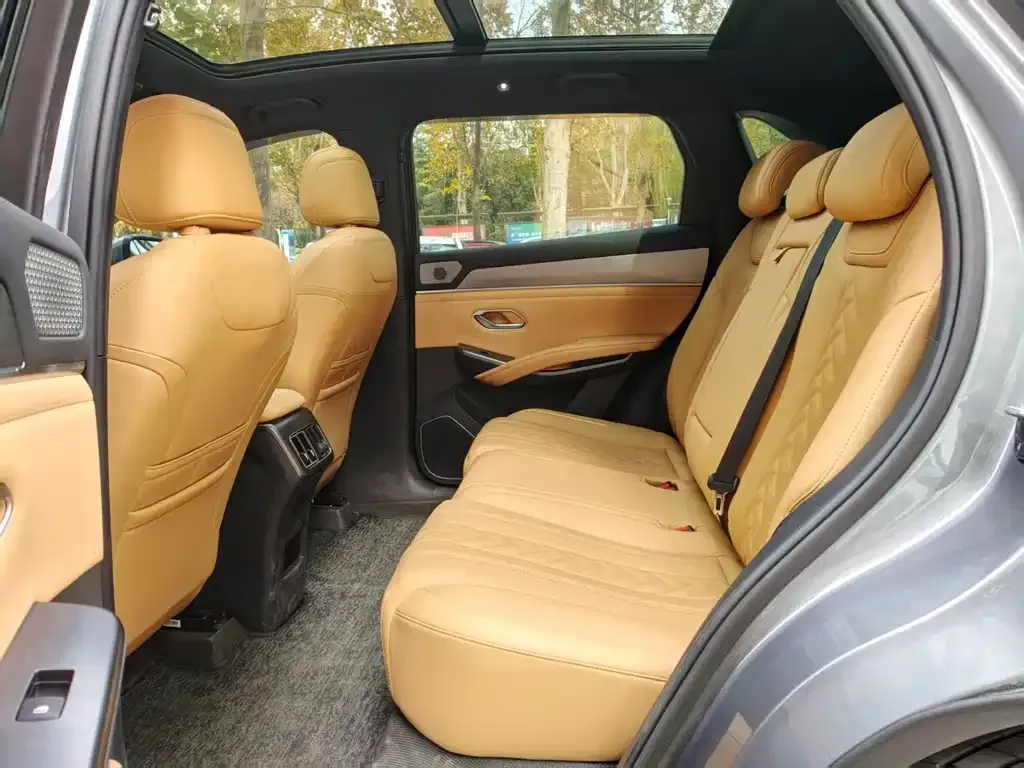 BYD L DM-i 2024 из CN, фото 5