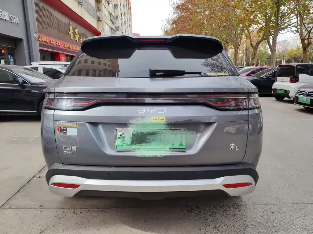 BYD L DM-i 2024 из CN, фото 6