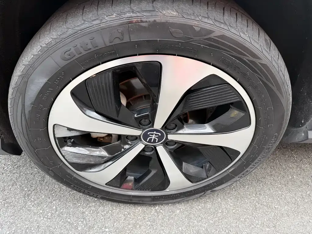 BYD PLUS New Energy 2023 из CN, фото 4