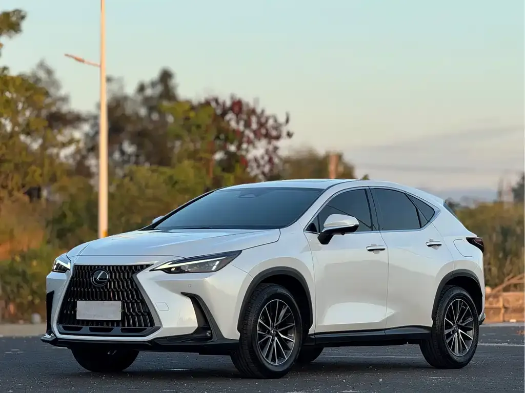 Lexus NX 2022 из CN, фото 1