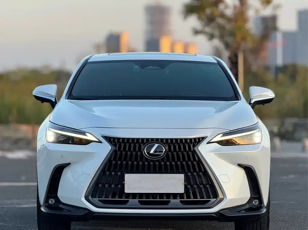 Lexus NX 2022 из CN, фото 2