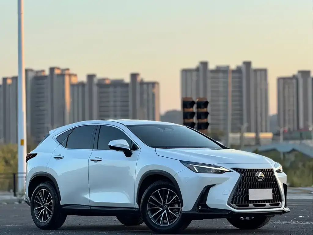Lexus NX 2022 из CN, фото 3
