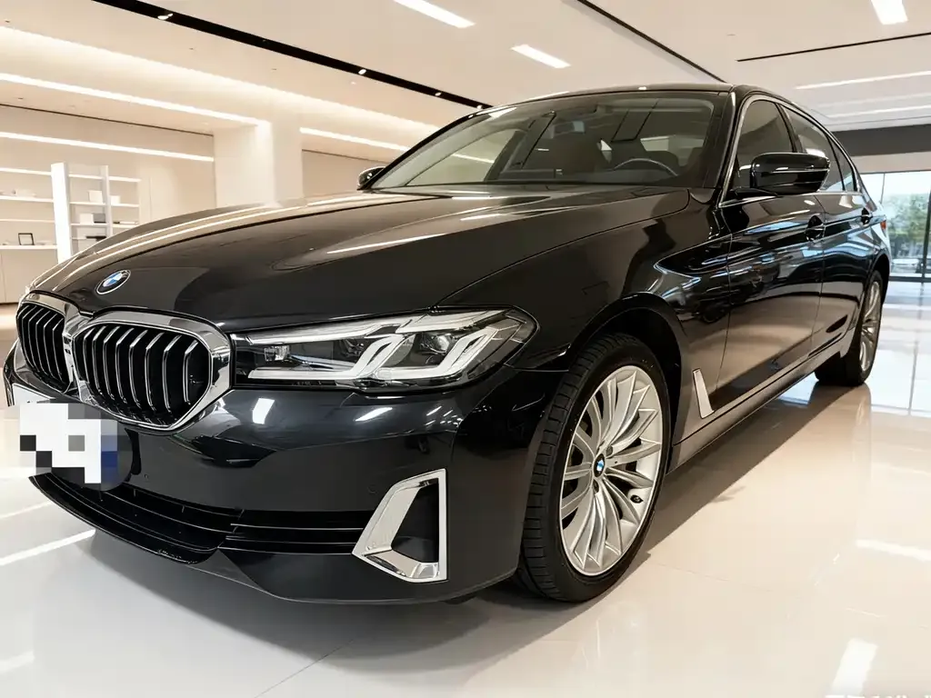 BMW 5 Series 2021 из CN, фото 1