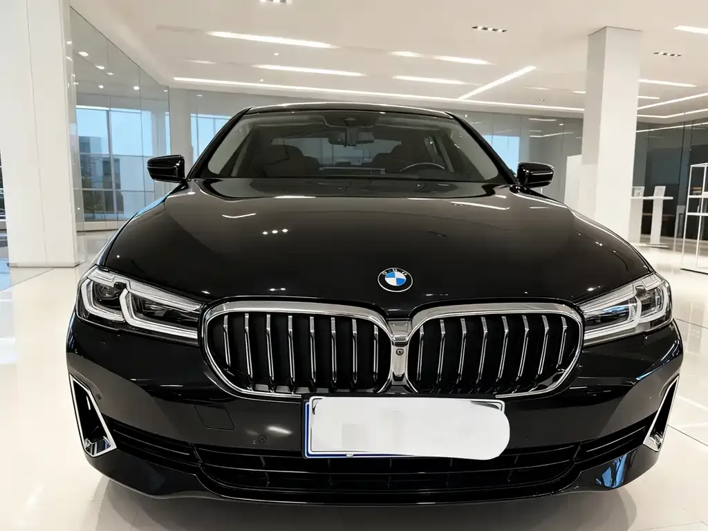 BMW 5 Series 2021 из CN, фото 2
