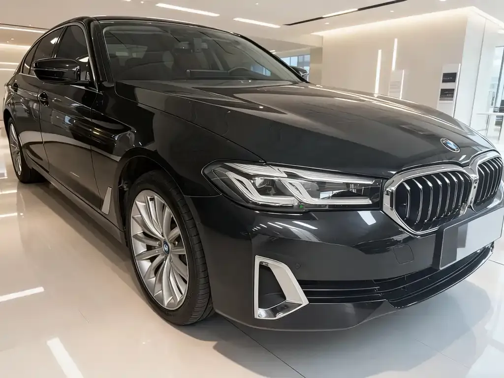 BMW 5 Series 2021 из CN, фото 3