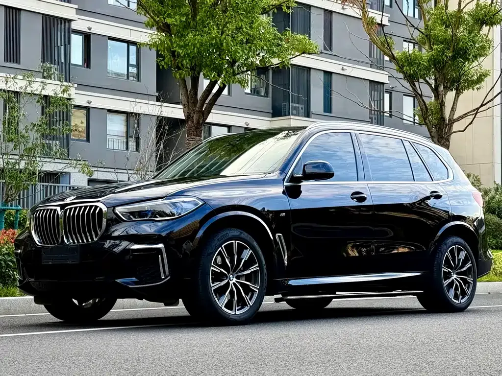 BMW X5 2023 из CN, фото 1
