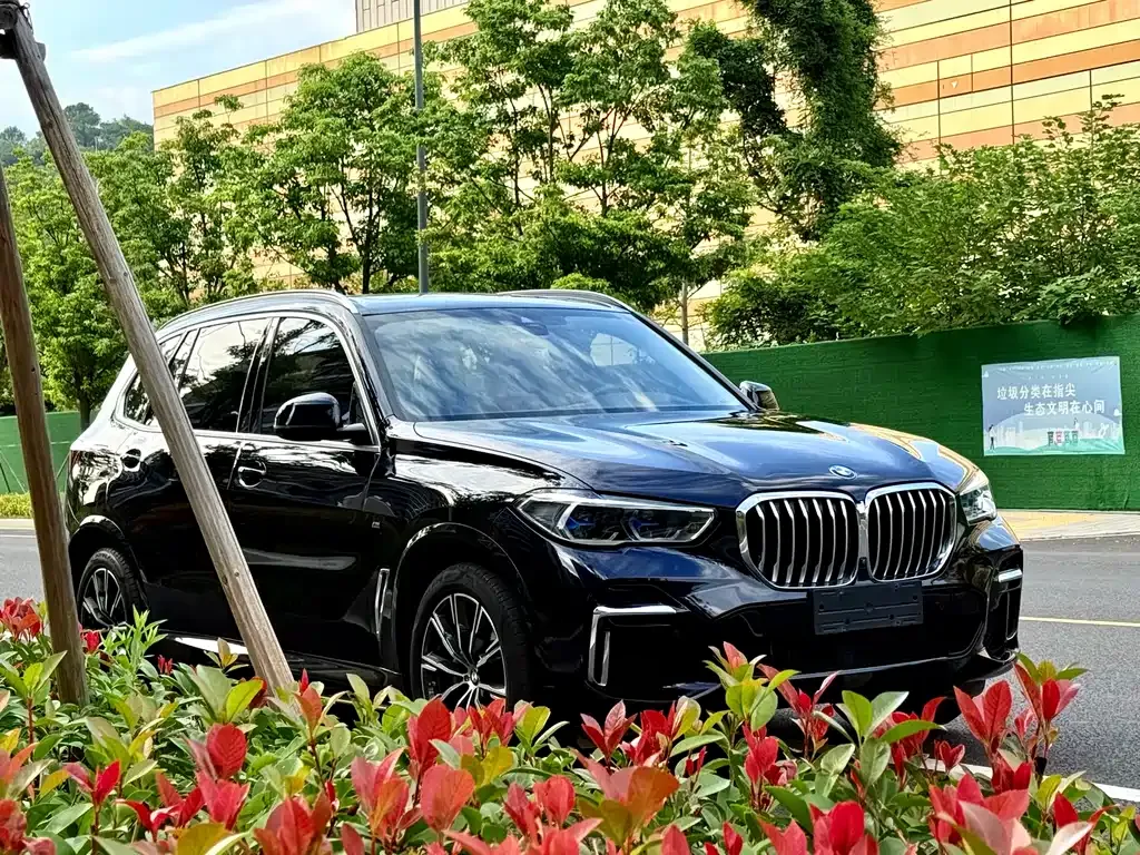 BMW X5 2023 из CN, фото 10