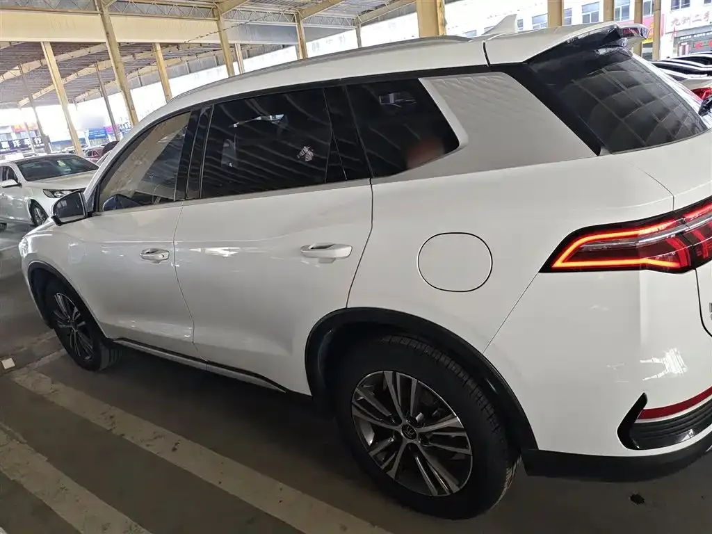 BYD Pro New Energy 2022 из CN, фото 5