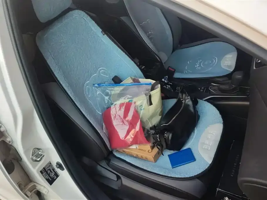 Toyota Corolla 2021 из CN, фото 8
