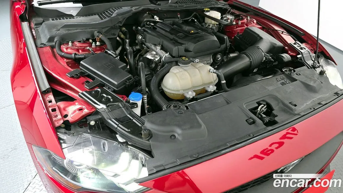 Ford Mustang 2023 из KR, фото 6