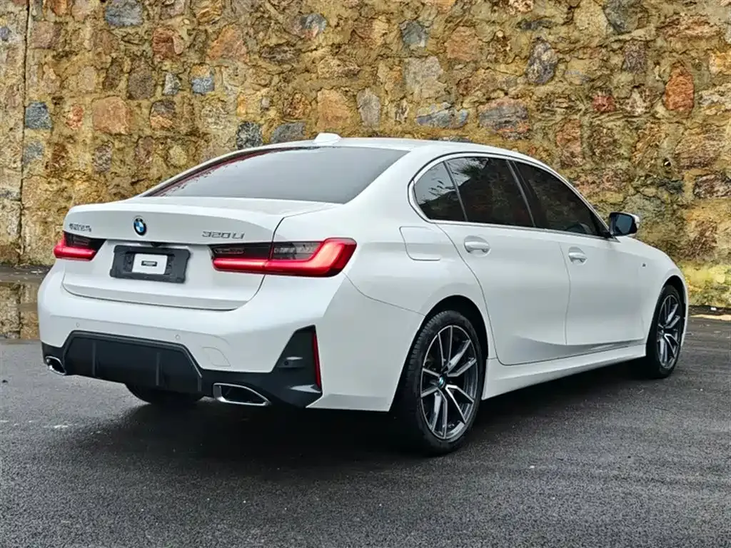 BMW 3 Series 2023 из CN, фото 6