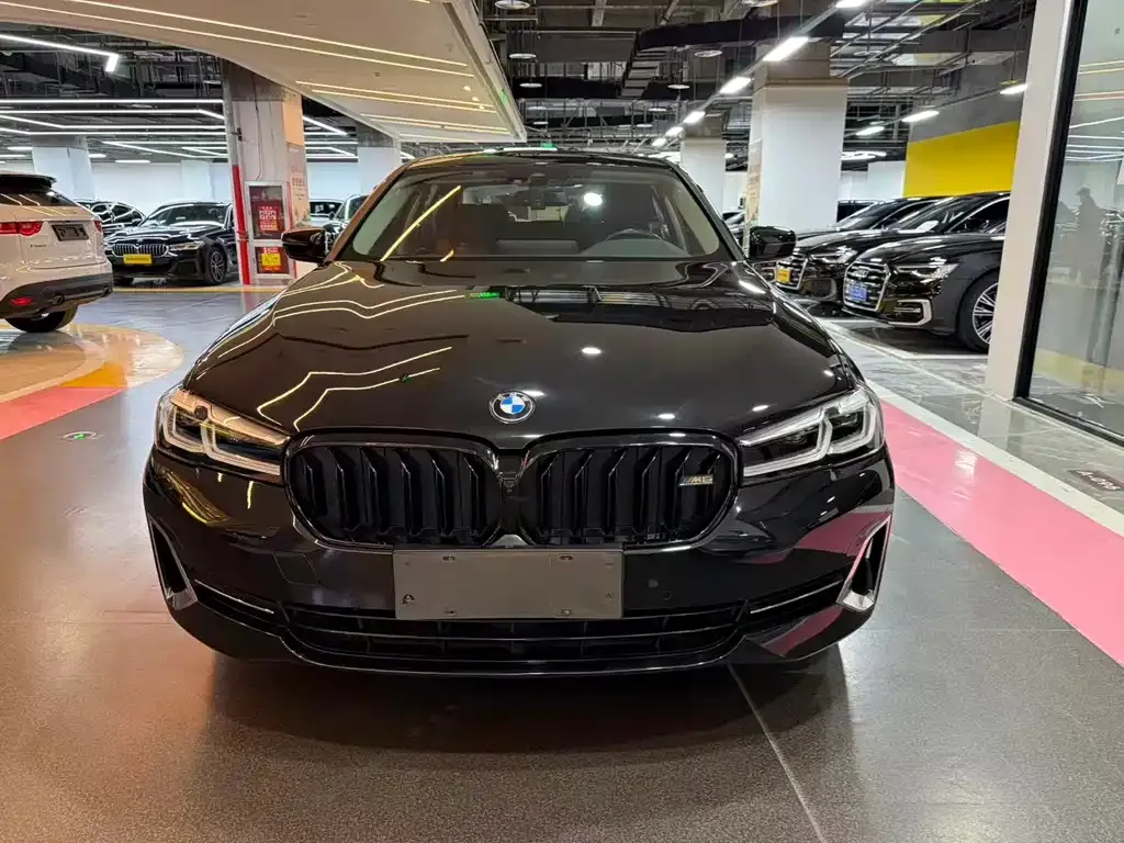 BMW 5 Series 2022 из CN, фото 2