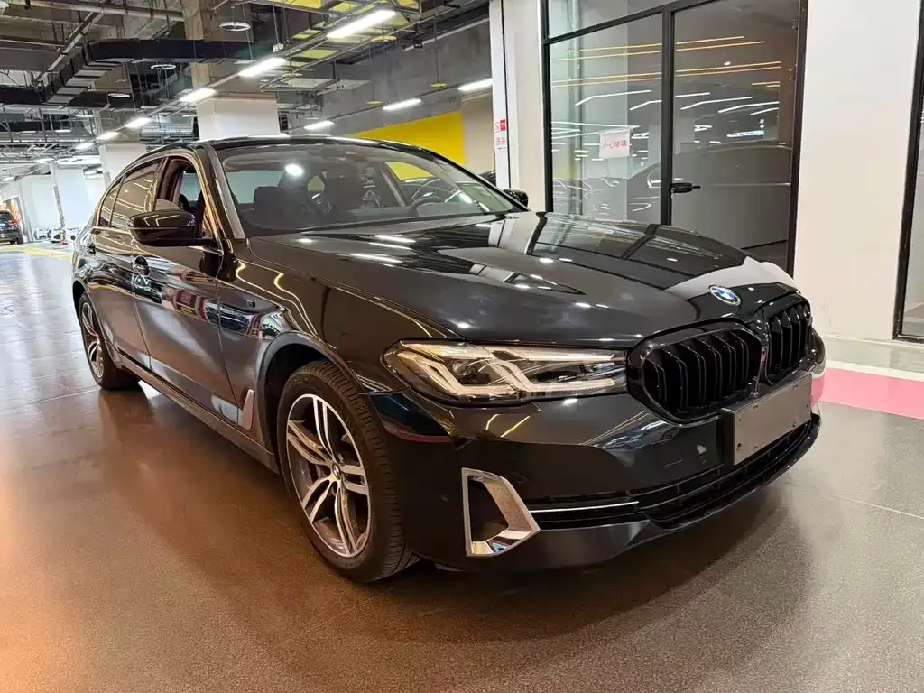 BMW 5 Series 2022 из CN, фото 3