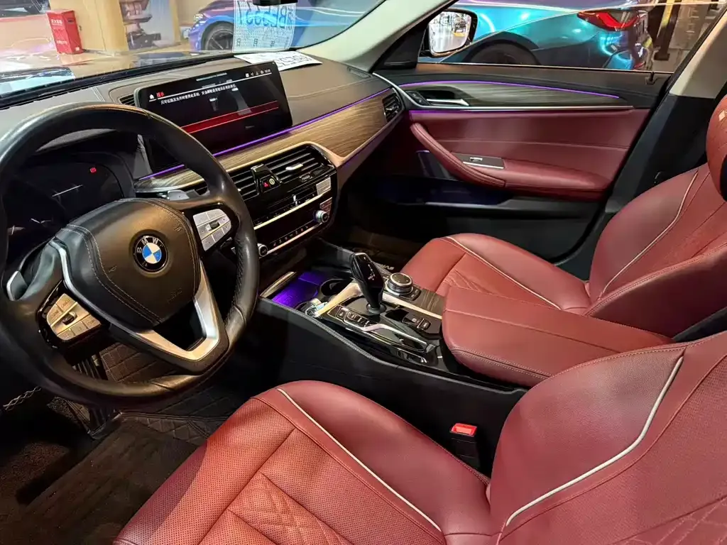 BMW 5 Series 2022 из CN, фото 5