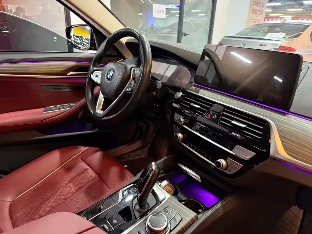 BMW 5 Series 2022 из CN, фото 6
