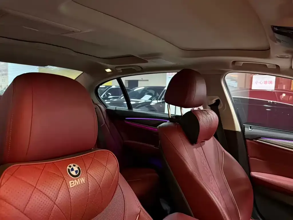 BMW 5 Series 2022 из CN, фото 8