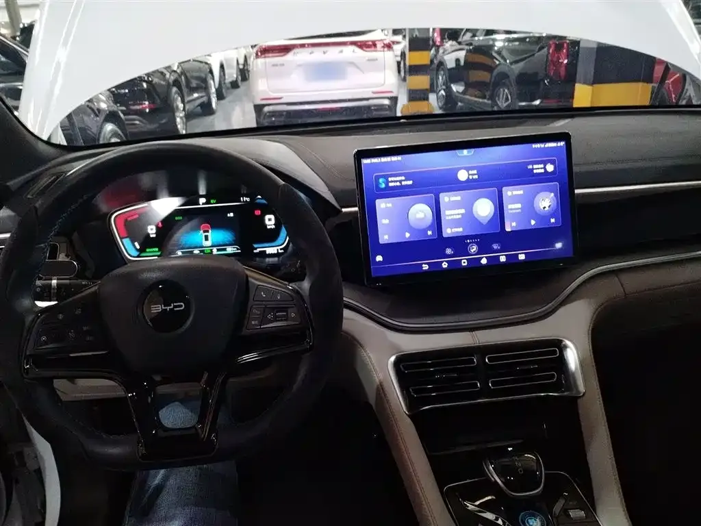 BYD PLUS New Energy 2023 из CN, фото 10