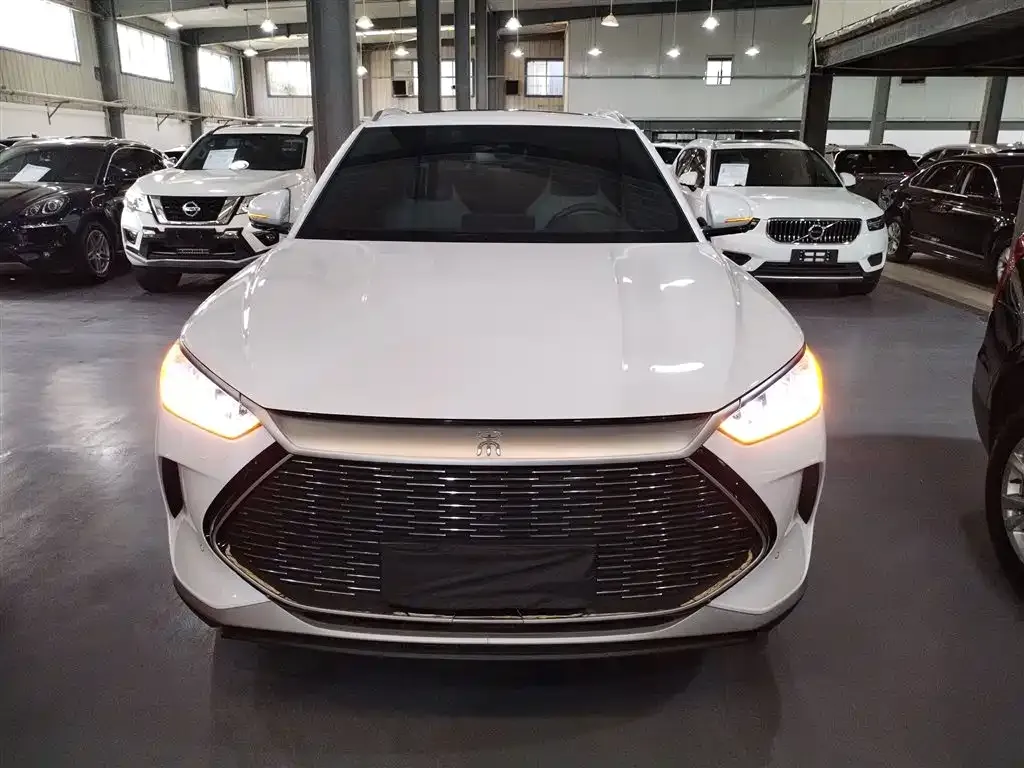 BYD PLUS New Energy 2023 из CN, фото 3