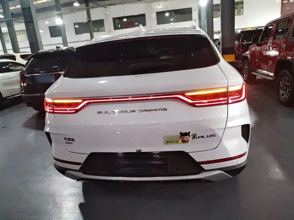 BYD PLUS New Energy 2023 из CN, фото 6