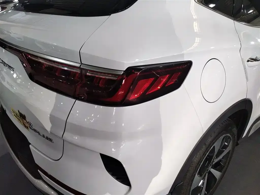 BYD PLUS New Energy 2023 из CN, фото 8
