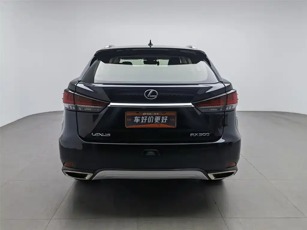 Lexus RX 2022 из CN, фото 4