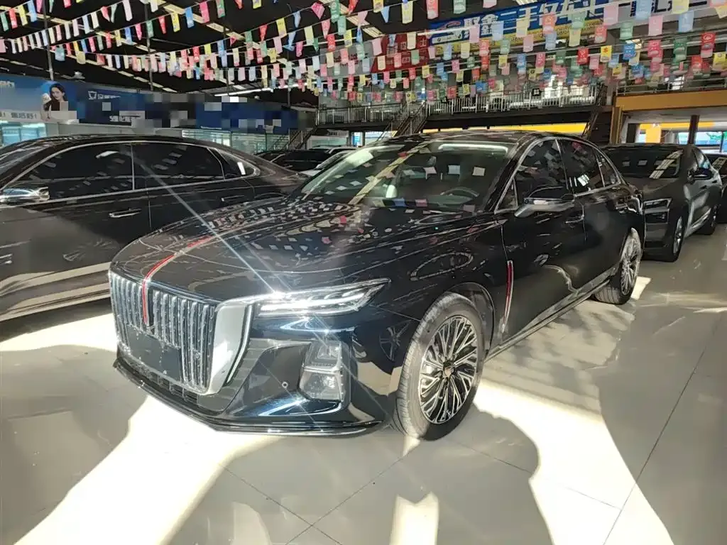 Hongqi H5 2024 из CN, фото 2