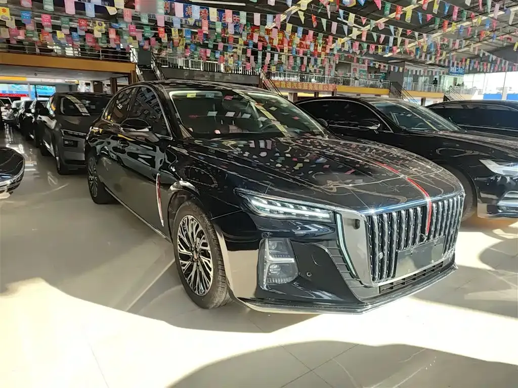Hongqi H5 2024 из CN, фото 4
