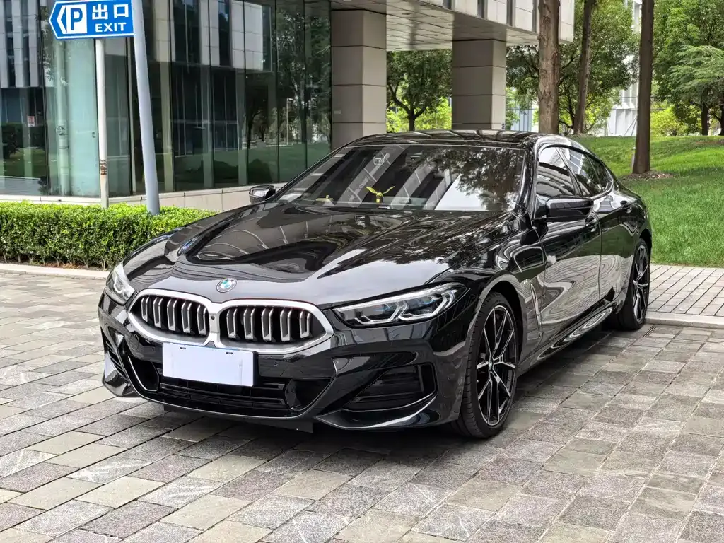 BMW 8 Series 2024 из CN, фото 1