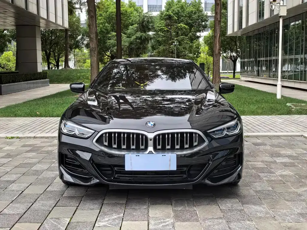 BMW 8 Series 2024 из CN, фото 2