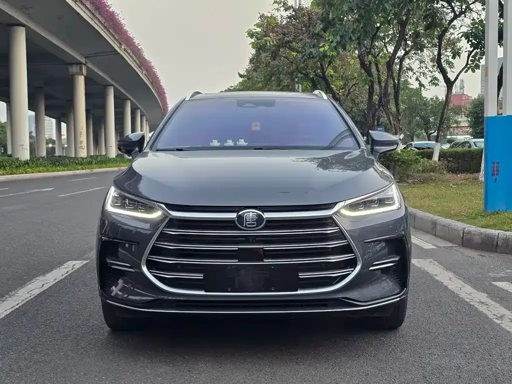 BYD Tang New Energy 2022 из CN, фото 2