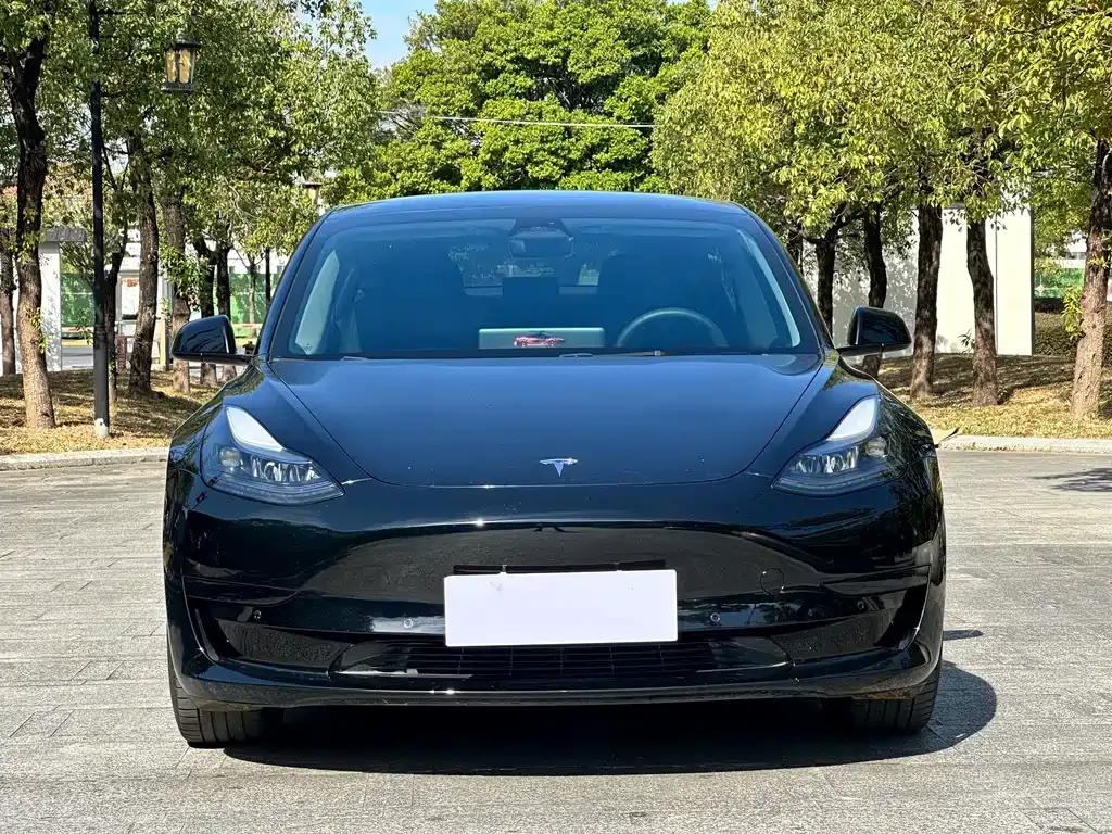 Tesla Model 3 2023 из CN, фото 2