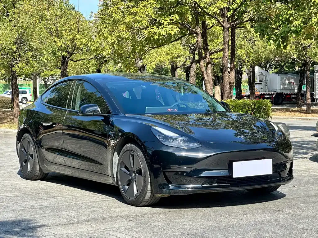 Tesla Model 3 2023 из CN, фото 3