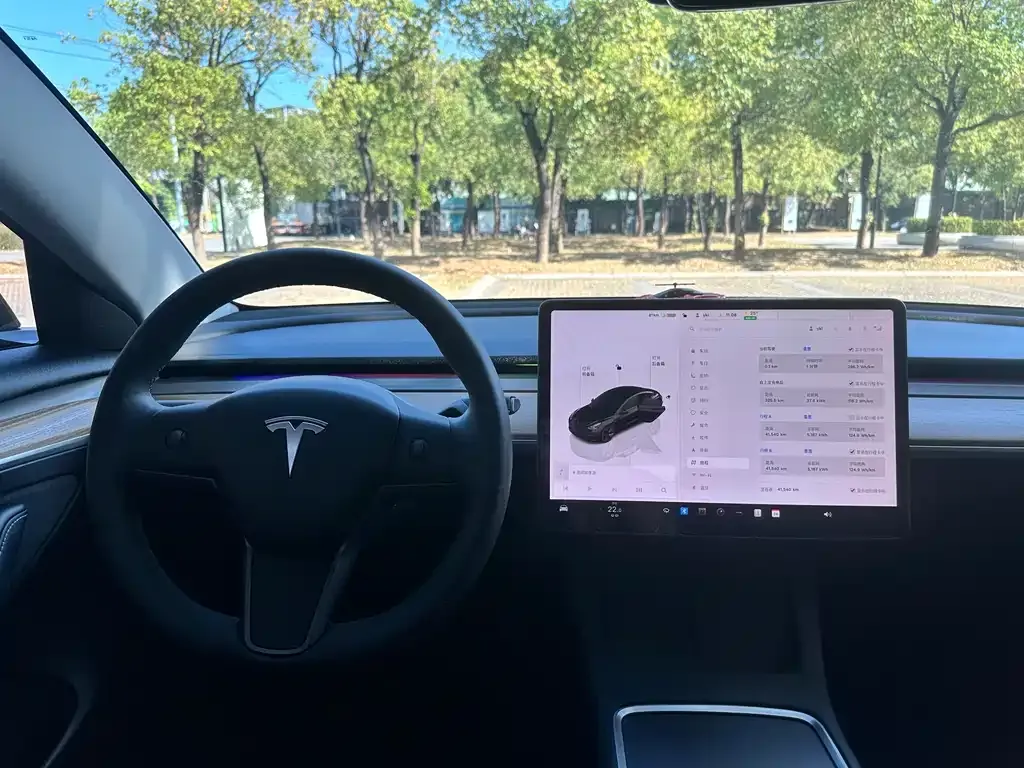 Tesla Model 3 2023 из CN, фото 8