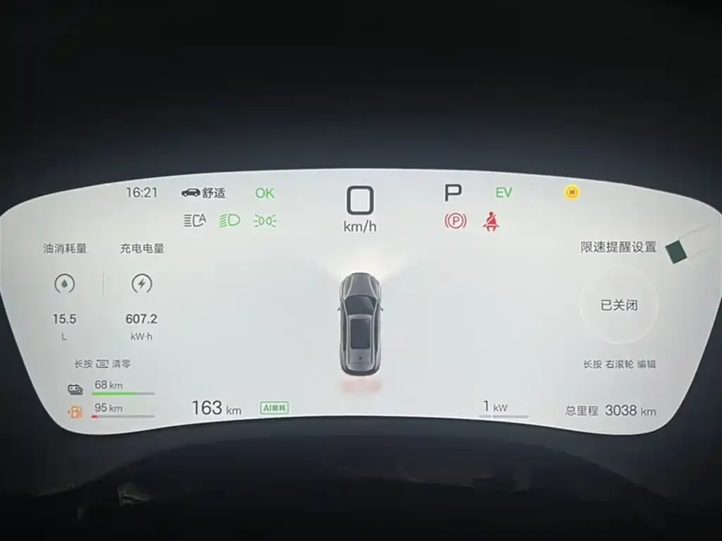 BYD Tang New Energy 2025 из CN, фото 3