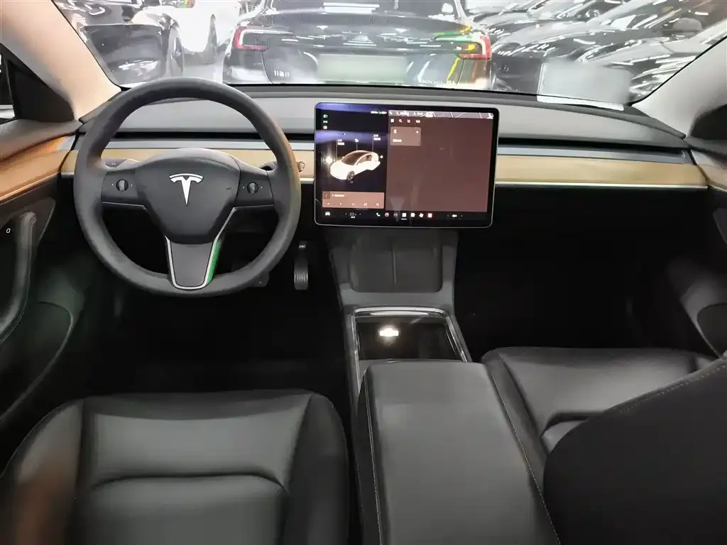 Tesla Model 3 2021 из CN, фото 10