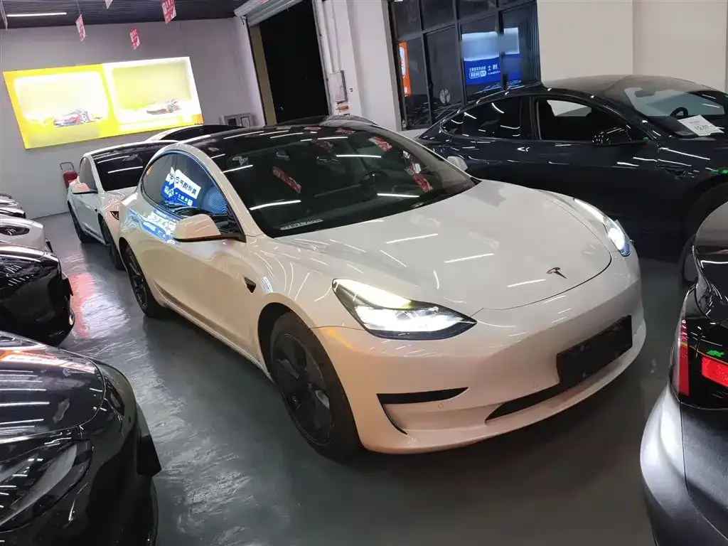 Tesla Model 3 2021 из CN, фото 4